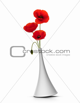 vase with red poppies over white