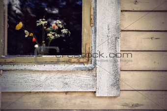 window with wild flowers