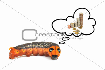 orange caterpillar thinking to money