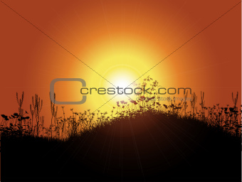 Sunset background 