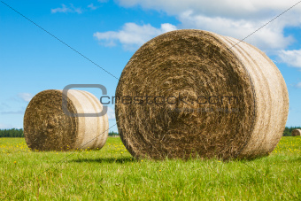 Two big hay bale rolls in a green field