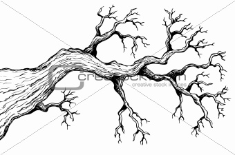 Tree theme drawing 3