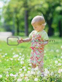 Baby playing with dandelions in park