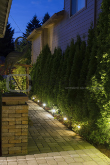 Backyard Garden Path at Night
