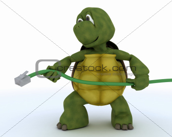 tortoise with a RJ1 cable