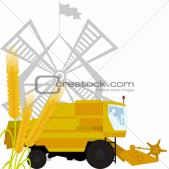 Spikes of wheat and combine harvester