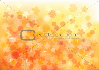 Flower Orange Background