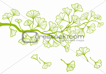 ginkgo branch with leaves, vector