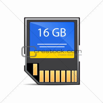 memory card isolated on white
