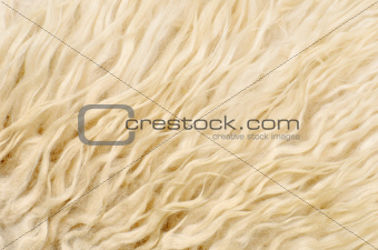 close up sheepskin texture background