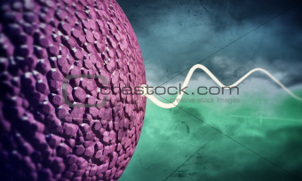 human egg cell being fertilized 