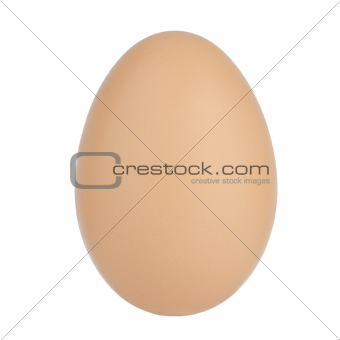 Egg close up