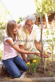 Teenage Granddaughter And Grandfather Relaxing In Garden