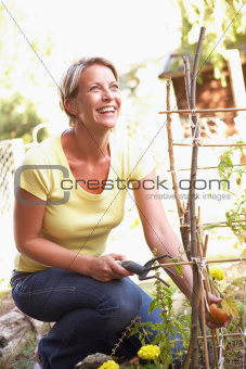 Woman Relaxing In Garden