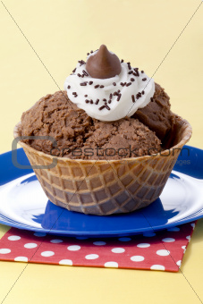 a wafer bowl with ice cream