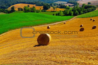 Tuscany Landscap