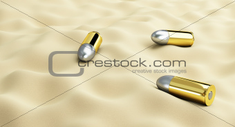 cartridges on the sand