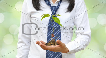 Seedlings grown from seed on women hand