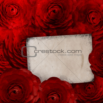 Birthday or Mother's Day card with roses and blank space