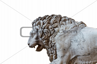 Lion near Palazzo Vecchio