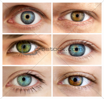 Set of 6 Real Different Open Eyes 
