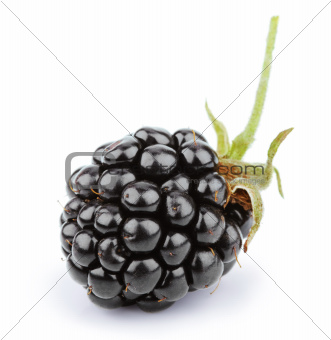 Blackberry with leaf isolated on white