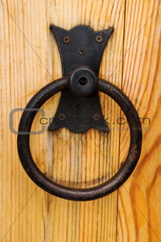 Metal handle on wooden door