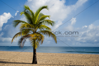 Beach resort in San Juan (Puerto Rico)