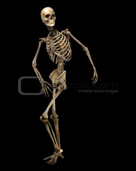 skeleton posing