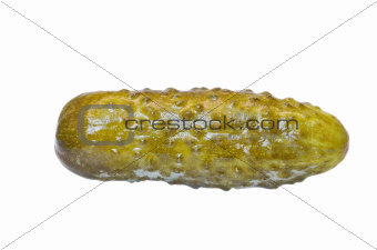 Pickle cucumber