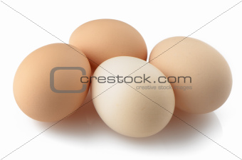 Four eggs on white 