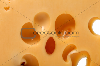 Slice of cheese close-up view