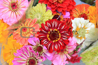 Colorful flowers at the market