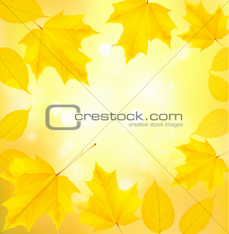 Autumn background with yellow leaves  Back to school illustration