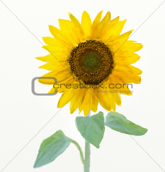 Oil and watercolor stylized picture - Sunflower