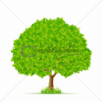 Isolated Green Tree with Grass and Flowers