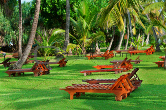 Beach beds between tropical trees 