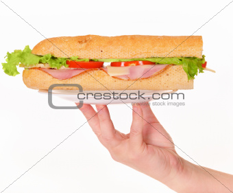 Fresh sandwich with meat and salad 