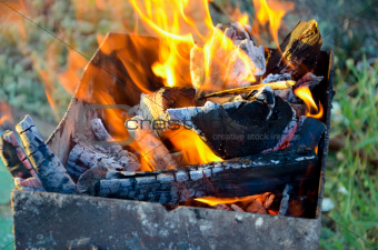 Firewood in the brazier