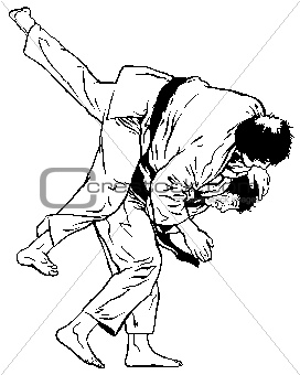 TaeKwonDo/Karate/Judo/Aikido Throw