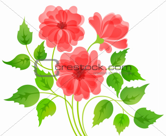 Colorful flower card