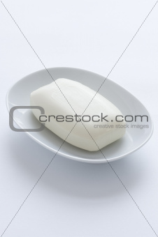 soap in a dish
