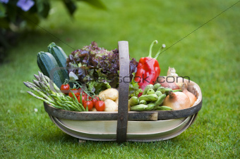 freshly harvested vegetables 