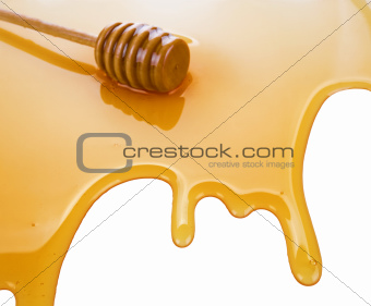 puddle of honey