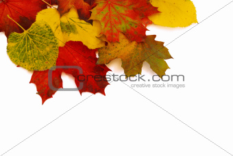 Autumn Leaves