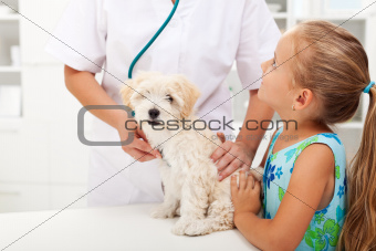 Little girl and her fluffy pet at the vet
