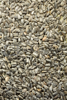 Unrefined sunflower seeds.