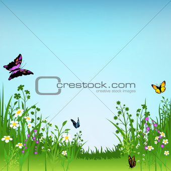 Flowering Meadow and Butterflies