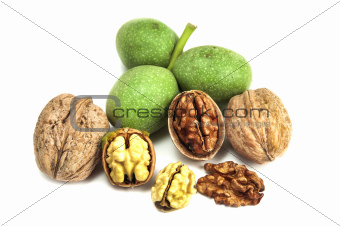 dry and fresh walnuts isolated
