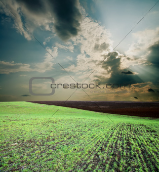 black ploughed field under cloudy sky
